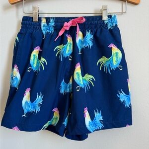 Chubbies Classic Swim Trunks Size XS